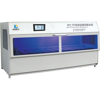 Prosesor Jaringan Otomatis